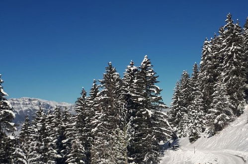 Photo 36 - VVF Les 7 Laux Massif de Belledonne, Prapoutel