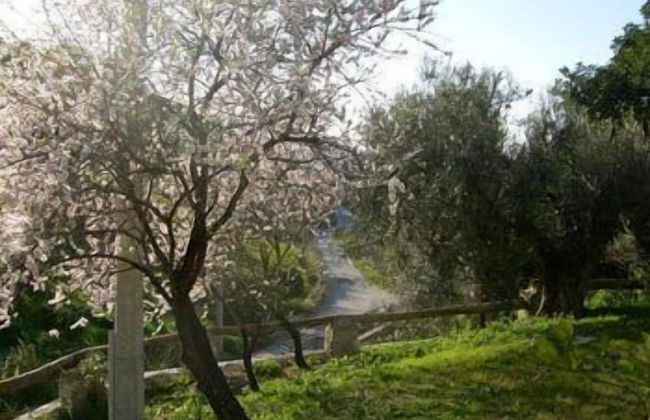 That's Amore Cilento Country House - Foto 29
