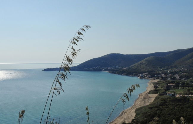 That's Amore Cilento Country House - Foto 36
