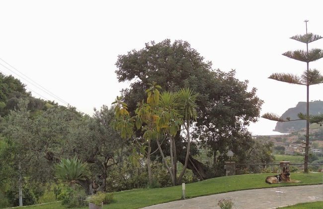 That's Amore Cilento Country House - Foto 23