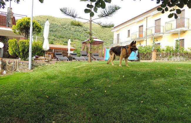 That's Amore Cilento Country House - Foto 22