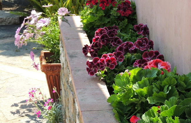 That's Amore Cilento Country House - Foto 44