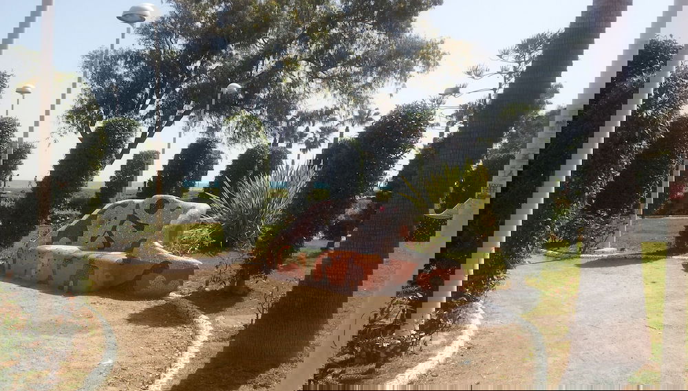 Primary image