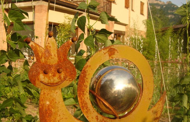 Moli del Caso - Foto 17