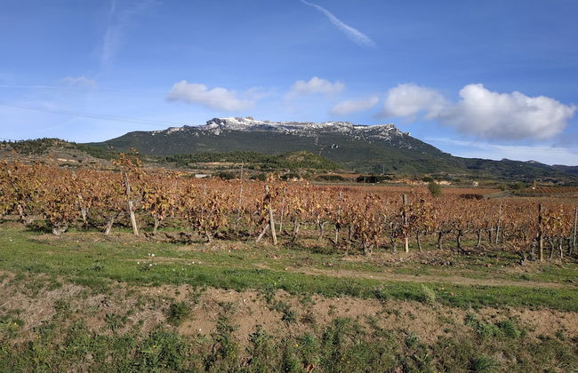 Casa Rural Osante - Foto 13