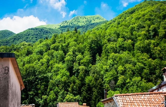 Holiday Home in Pascoso Near Forest - Foto 33