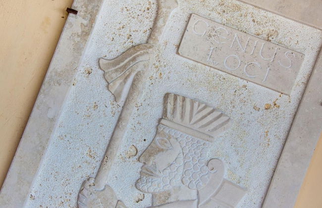 Pg-c845-gagl0at - Genius Loci 6 1 - Foto 14