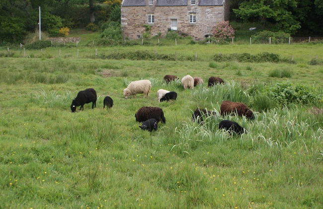 La Guguenaie - Foto 27