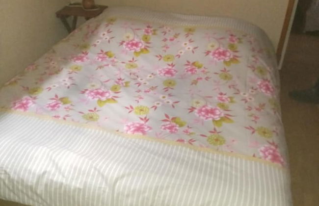 La Guguenaie - Foto 7