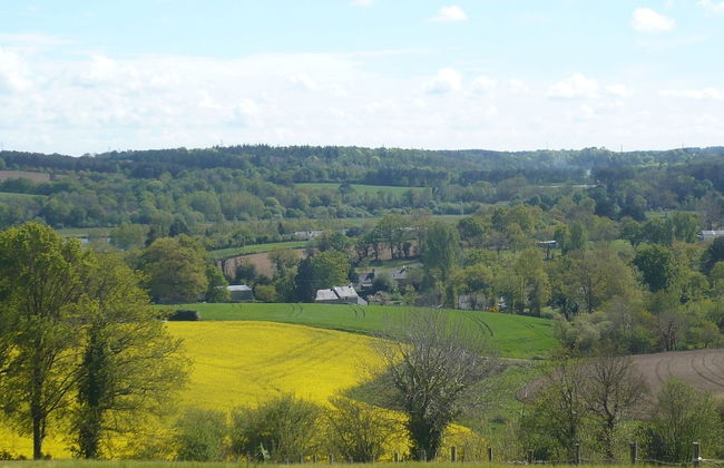 La Guguenaie - Foto 21