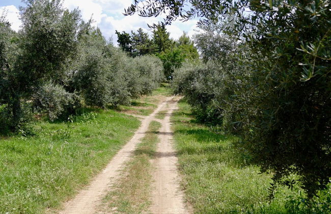 Agriturismo Via del Campo - Foto 28