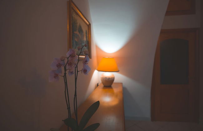 IL VICOLO - Foto 6