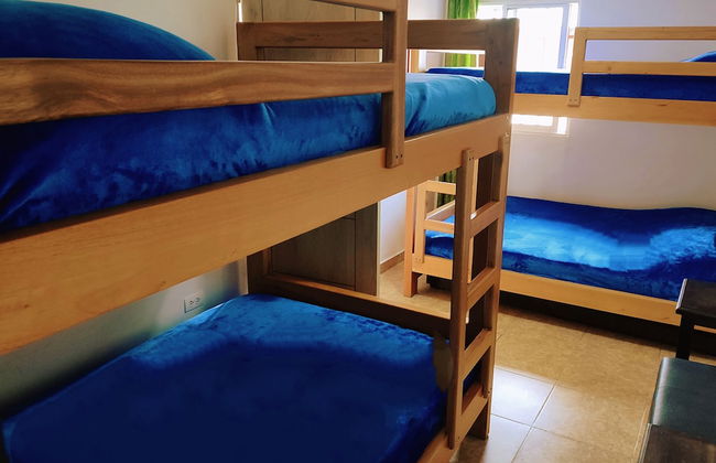 SAN PEDRO SALENTO APARTAHOTEL - Foto 4