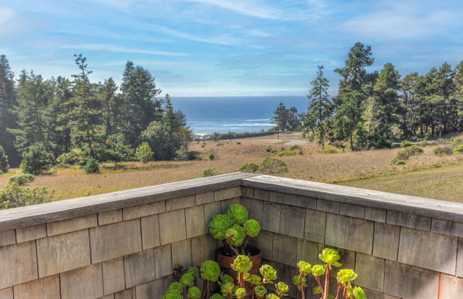 Seaview Cottage - Foto 12