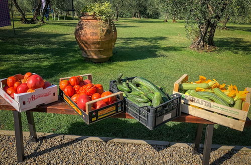 Photo 21 - Renovated Farmhouse Near Florence