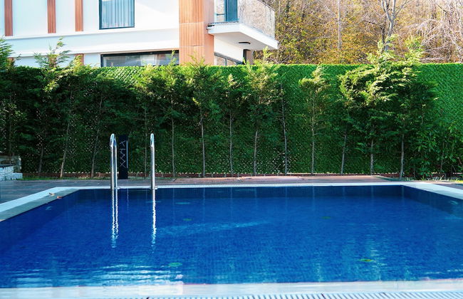 9 Pearl Villas Sapanca - Photo 21