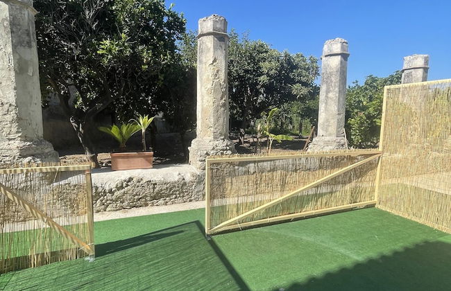 Tenuta La Torre - Photo 29