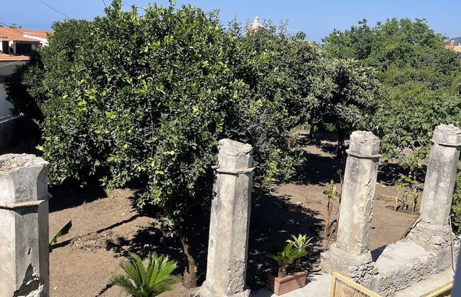 Tenuta La Torre - Photo 21