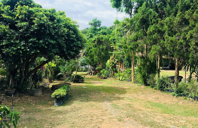 thewkang - Foto 28