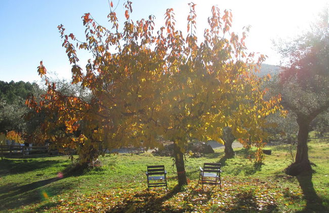 Casa Rural Las Gesillas - Foto 24