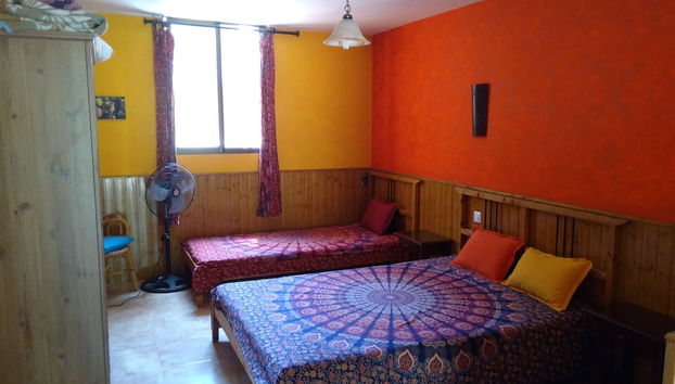 Quarto