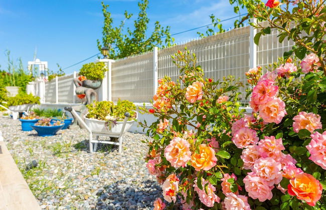 Villa Mina Large Private Pool A C Wifi Car Not Required Eco-friendly - 2834 - Foto 46