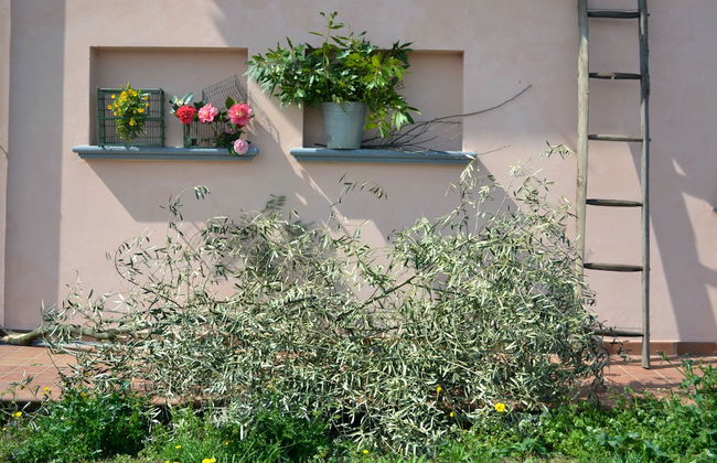 Agriturismo Monte a Pescia - Foto 64