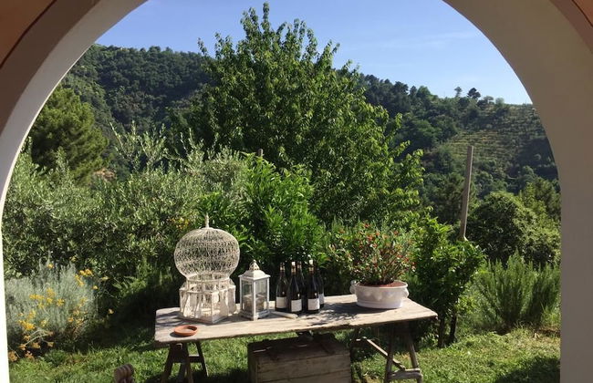 Agriturismo Monte a Pescia - Foto 27