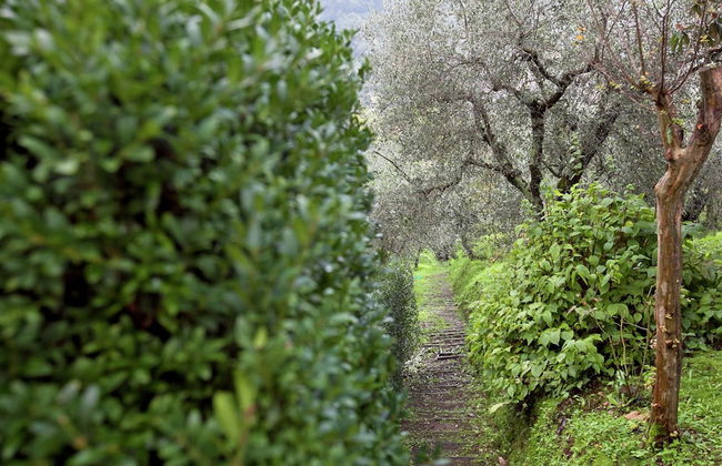 Belvilla by OYO Valleriana - Foto 19