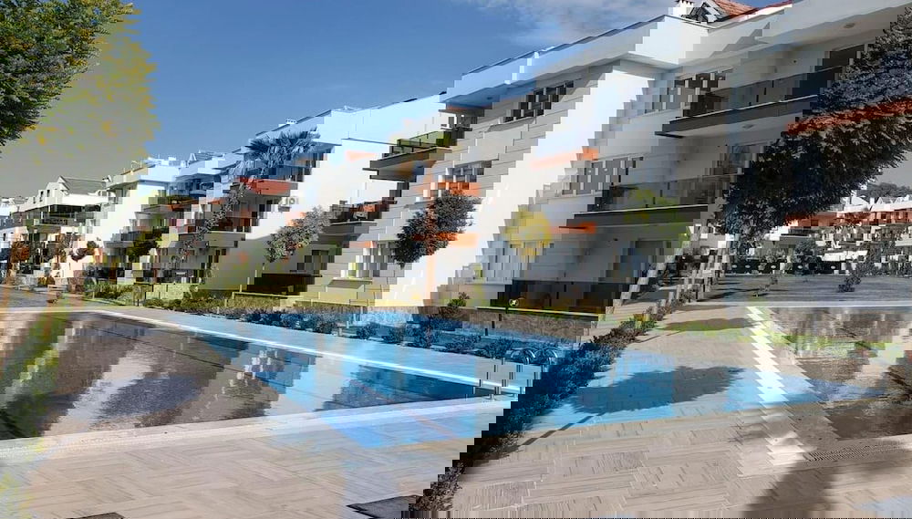 Primary image