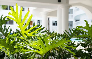 Foto 2 - Ocean Palms Residences