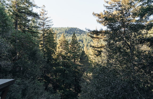 Redwoods River Resort - Foto 64