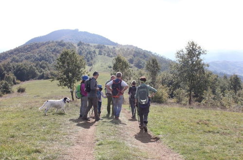 Photo 10 - Bio Agriturismo La Cerqua