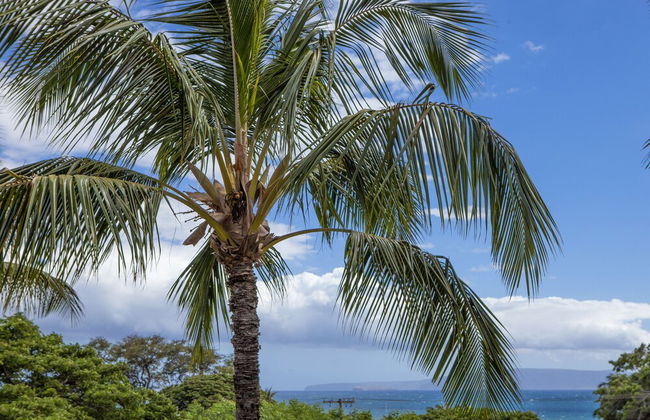 Maui Vista – Maui Condo & Home - Foto 27