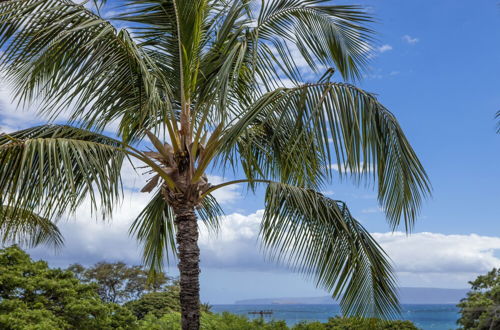 Photo 27 - Maui Vista – Maui Condo & Home