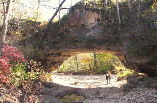 Photo 38 - Rock Eddy Bluff Farm