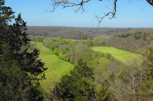 Photo 41 - Rock Eddy Bluff Farm