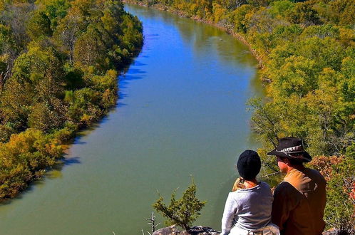 Photo 44 - Rock Eddy Bluff Farm