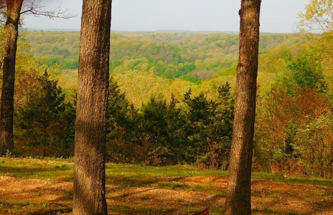 Rock Eddy Bluff Farm - Foto 45