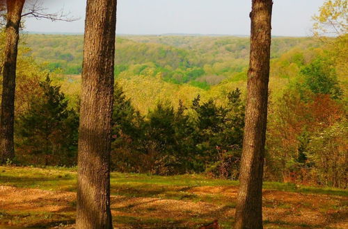 Photo 45 - Rock Eddy Bluff Farm