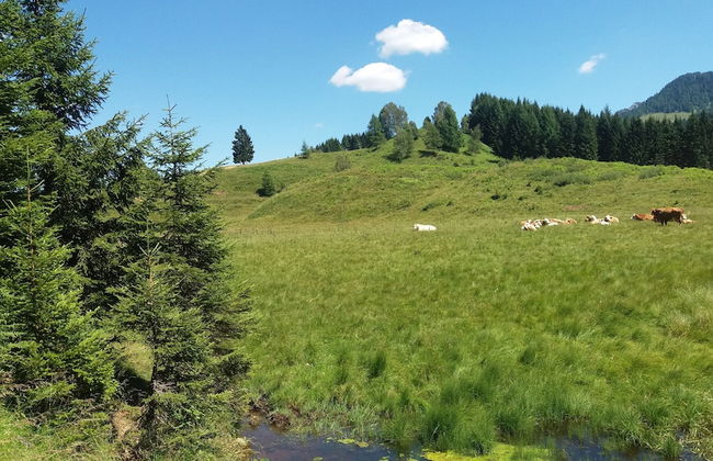 Chalets Zöhrer - Wohnen am Wasser - Foto 19