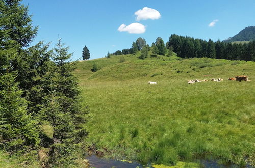 Photo 19 - Chalets Zöhrer - Wohnen am Wasser