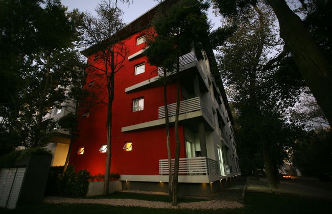 Avutarda de Carilo - Foto 1