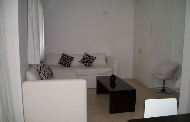 Avutarda de Carilo - Foto 33