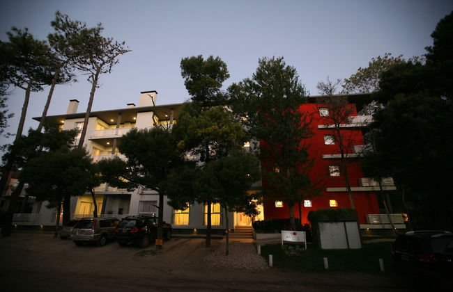 Avutarda de Carilo - Foto 65