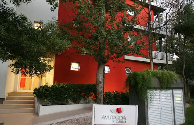 Avutarda de Carilo - Foto 69
