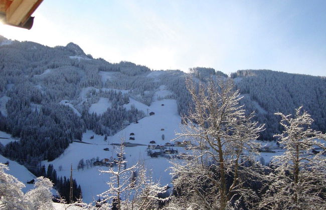 Farm in Gerlosberg Near the ski Area - Foto 1