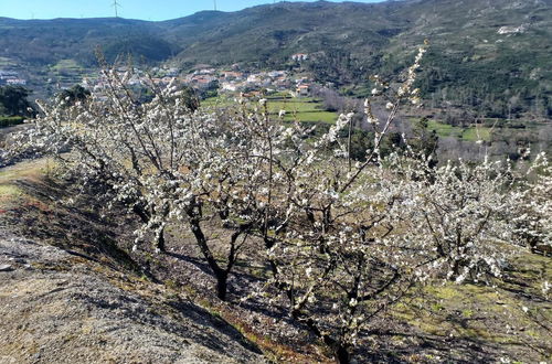 Foto 47 - Rivatur - Explorações Turísticas Lda