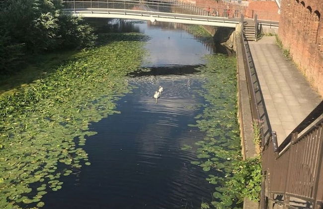 Chocolets - The Quality Suite - Photo 42