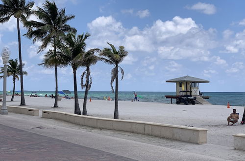 Photo 36 - Hollywood Beach Seagull